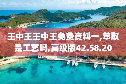王中王王中王免费资料一,萃取是工艺吗,高级版42.58.20