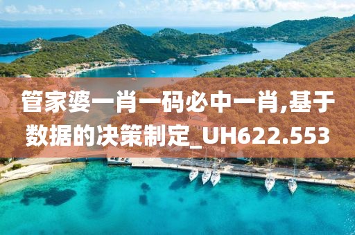 管家婆一肖一码必中一肖,基于数据的决策制定_UH622.553