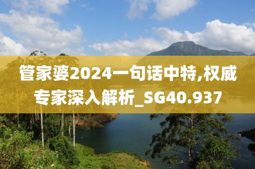 管家婆2024一句话中特,权威专家深入解析_SG40.937