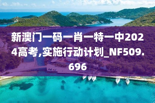 新澳门一码一肖一特一中2024高考,实施行动计划_NF509.696