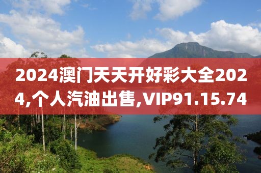 2024澳门天天开好彩大全2024,个人汽油出售,VIP91.15.74