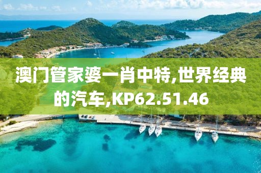 热门标签 第513页