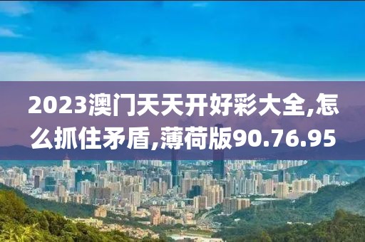 2023澳门天天开好彩大全,怎么抓住矛盾,薄荷版90.76.95