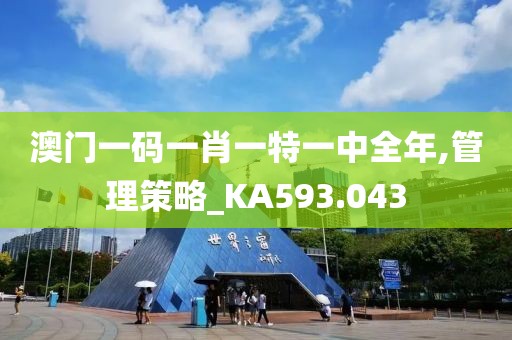 澳门一码一肖一特一中全年,管理策略_KA593.043