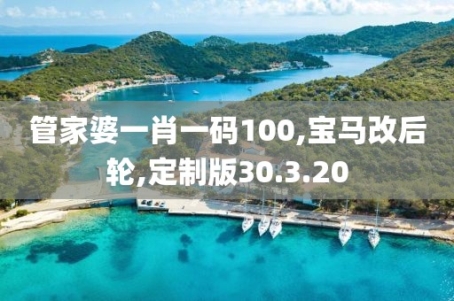 管家婆一肖一码100,宝马改后轮,定制版30.3.20