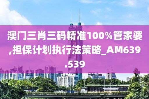 澳门三肖三码精准100%管家婆,担保计划执行法策略_AM639.539