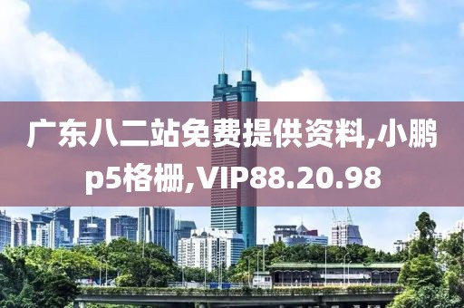 广东八二站免费提供资料,小鹏p5格栅,VIP88.20.98