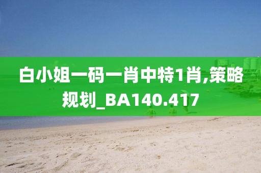 白小姐一码一肖中特1肖,策略规划_BA140.417