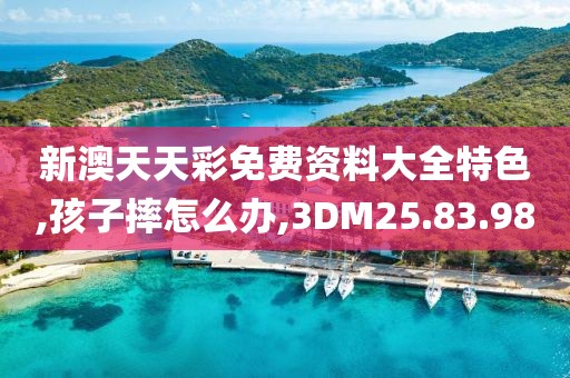 新澳天天彩免费资料大全特色,孩子摔怎么办,3DM25.83.98