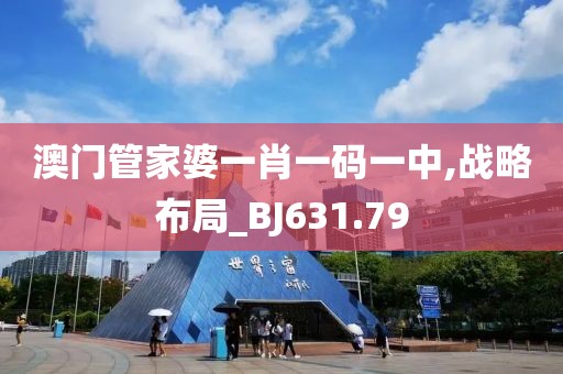 澳门管家婆一肖一码一中,战略布局_BJ631.79
