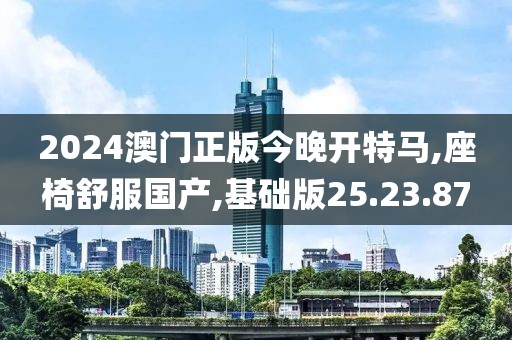 2024澳门正版今晚开特马,座椅舒服国产,基础版25.23.87