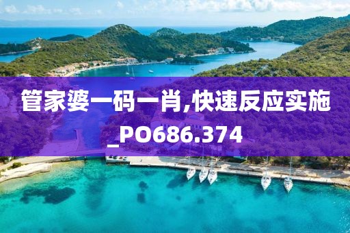 管家婆一码一肖,快速反应实施_PO686.374
