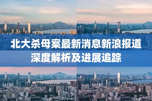 北大杀母案最新消息新浪报道深度解析及进展追踪