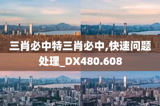 三肖必中特三肖必中,快速问题处理_DX480.608