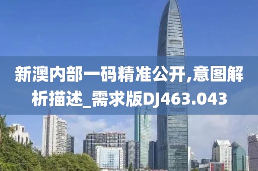 新澳内部一码精准公开,意图解析描述_需求版DJ463.043
