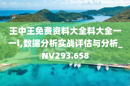 王中王免费资料大全料大全一一l,数据分析实战评估与分析_NV293.658