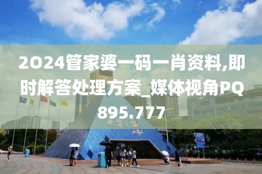 2O24管家婆一码一肖资料,即时解答处理方案_媒体视角PQ895.777