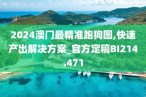 2024澳门最精准跑狗图,快速产出解决方案_官方定稿BI214.471
