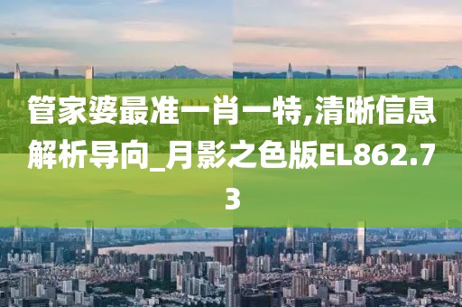 管家婆最准一肖一特,清晰信息解析导向_月影之色版EL862.73