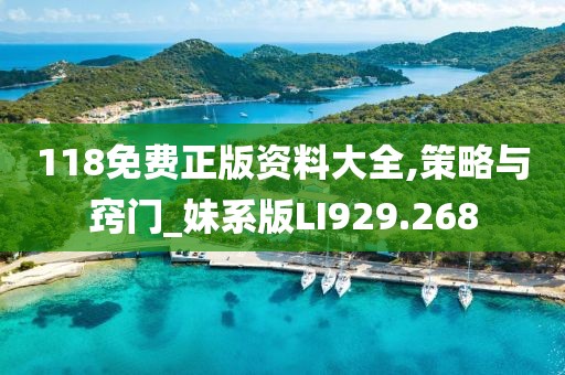 118免费正版资料大全,策略与窍门_妹系版LI929.268