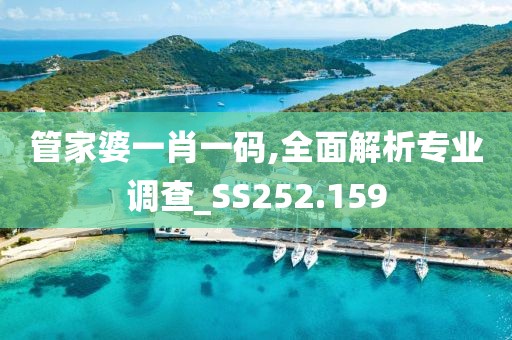 管家婆一肖一码,全面解析专业调查_SS252.159