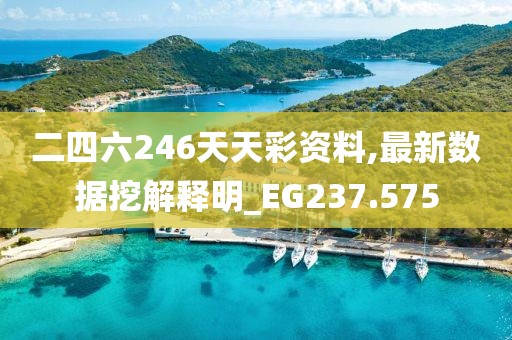 二四六246天天彩资料,最新数据挖解释明_EG237.575