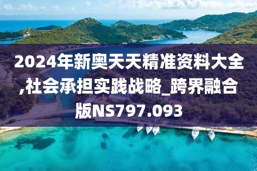 2024年新奥天天精准资料大全,社会承担实践战略_跨界融合版NS797.093