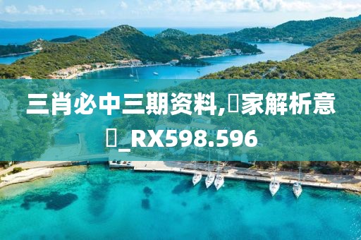 三肖必中三期资料,專家解析意見_RX598.596