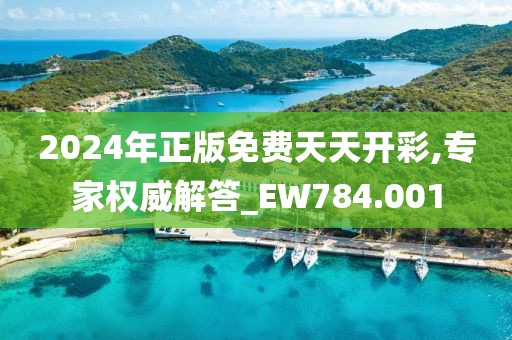 2024年正版免费天天开彩,专家权威解答_EW784.001