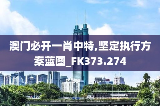 澳门必开一肖中特,坚定执行方案蓝图_FK373.274