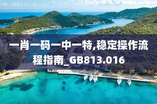 一肖一码一中一特,稳定操作流程指南_GB813.016