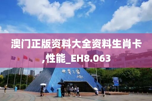 澳门正版资料大全资料生肖卡,性能_EH8.063