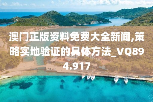澳门正版资料免费大全新闻,策略实地验证的具体方法_VQ894.917