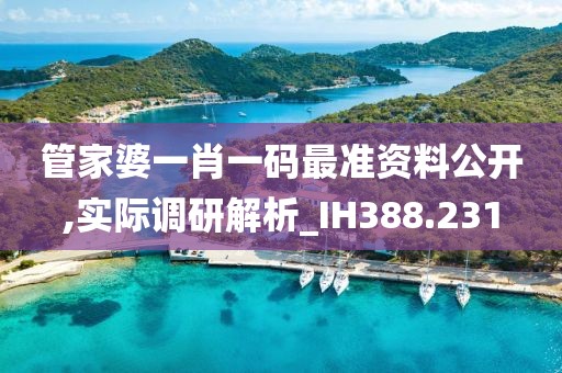 管家婆一肖一码最准资料公开,实际调研解析_IH388.231