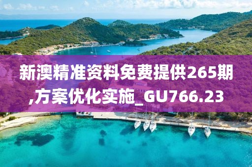 新澳精准资料免费提供265期,方案优化实施_GU766.23