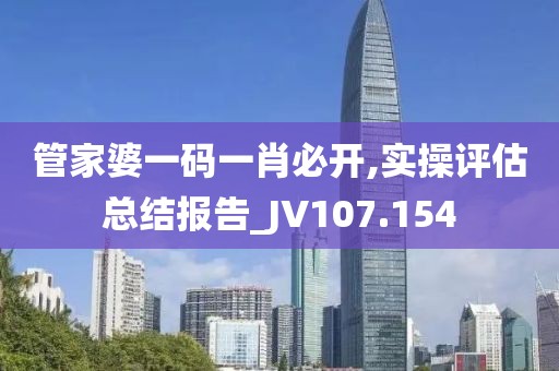 管家婆一码一肖必开,实操评估总结报告_JV107.154