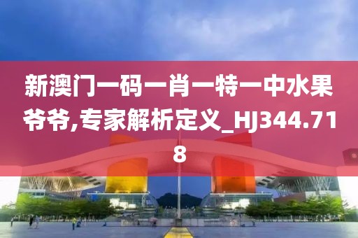 新澳门一码一肖一特一中水果爷爷,专家解析定义_HJ344.718