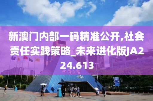 新澳门内部一码精准公开,社会责任实践策略_未来进化版JA224.613