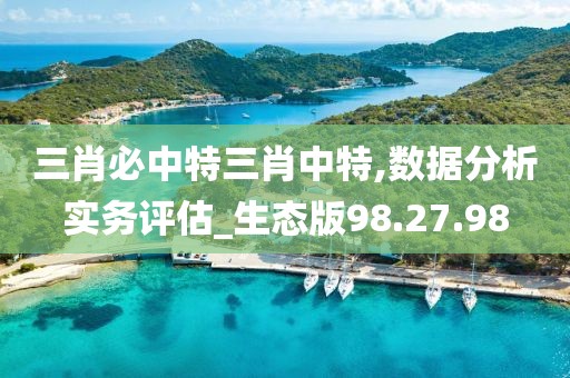 三肖必中特三肖中特,数据分析实务评估_生态版98.27.98