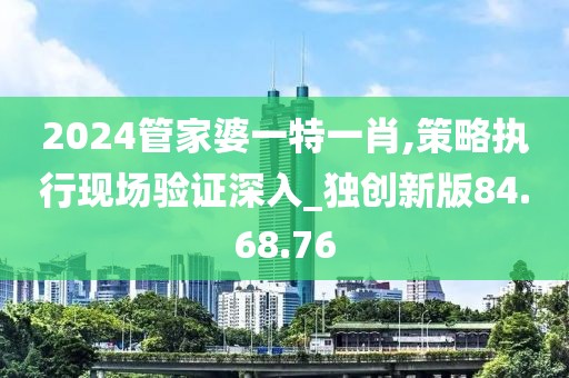 2024管家婆一特一肖,策略执行现场验证深入_独创新版84.68.76