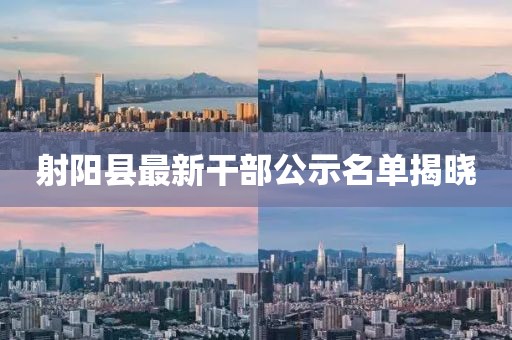 射阳县最新干部公示名单揭晓