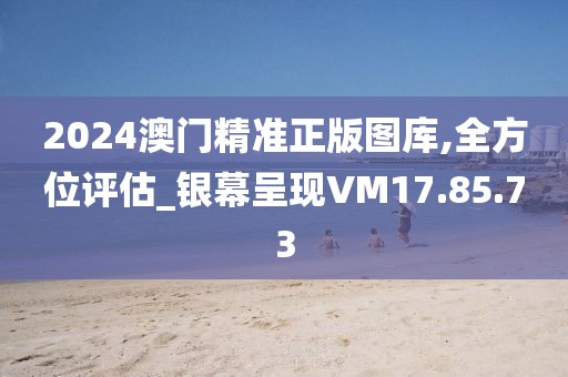 2024澳门精准正版图库,全方位评估_银幕呈现VM17.85.73