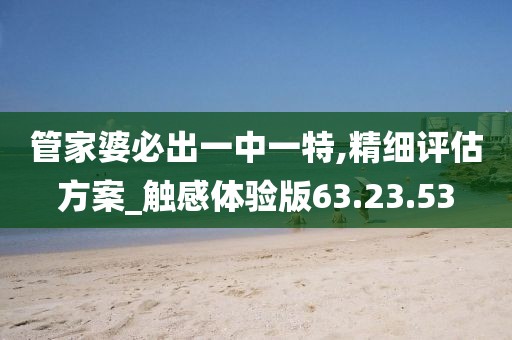 管家婆必出一中一特,精细评估方案_触感体验版63.23.53