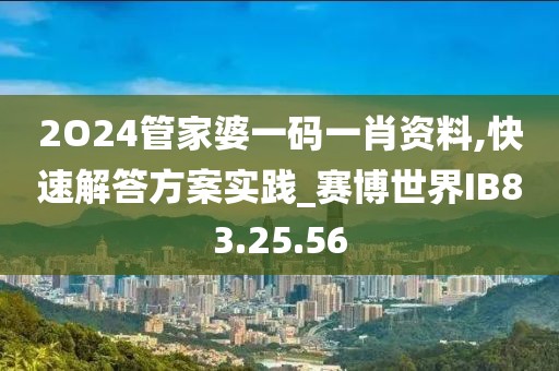 2O24管家婆一码一肖资料,快速解答方案实践_赛博世界IB83.25.56