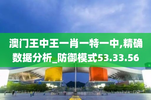 澳门王中王一肖一特一中,精确数据分析_防御模式53.33.56