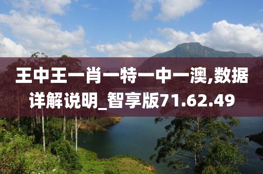 王中王一肖一特一中一澳,数据详解说明_智享版71.62.49