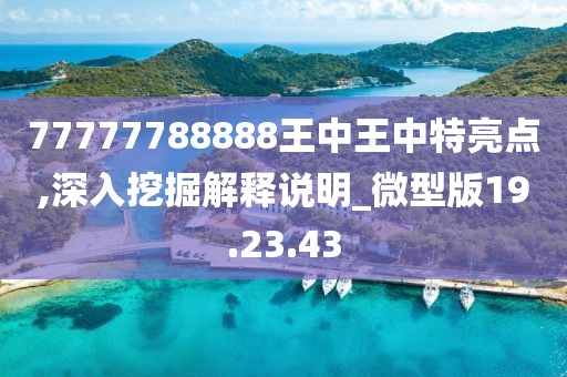 77777788888王中王中特亮点,深入挖掘解释说明_微型版19.23.43