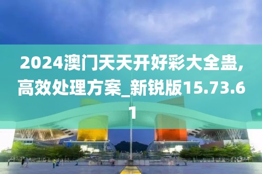 2024澳门天天开好彩大全蛊,高效处理方案_新锐版15.73.61