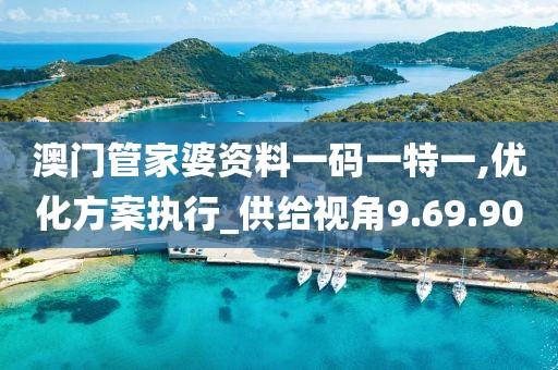 澳门管家婆资料一码一特一,优化方案执行_供给视角9.69.90