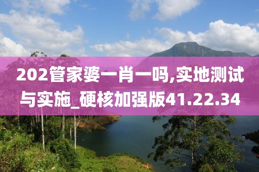 202管家婆一肖一吗,实地测试与实施_硬核加强版41.22.34